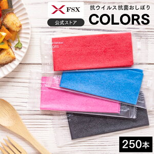 FSX ĝ ڂ RECXR ^ COLORS J[Y bh u[ sN ubN ePF ʃpbN 250{ Ɩp