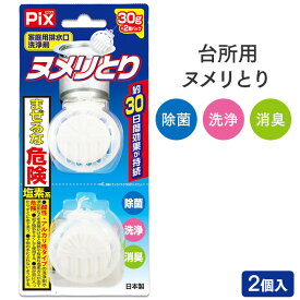 ライオンケミカル 排水口洗浄剤 Pix ヌメリとり 2個入 日本製 【業務用】