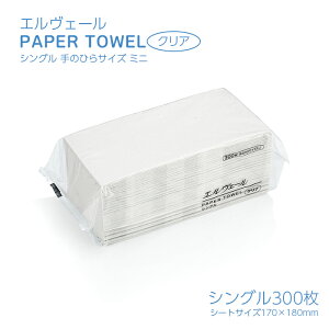 GF[ y[p[^I NA ̂ЂTCY~j 300 { Ɩp