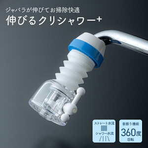 N^bN V[֌ LтNV[+(vX) Ɩp