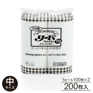 LION NbLOy[p[ vp[hy[p[ TCY (100×2[×1pbN 200) Ɩp