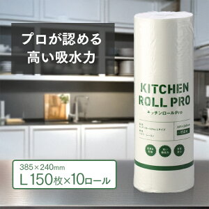Lb`y[p[ Lb`[ PRO LTCY 150×10[ 1500 Ɩp 