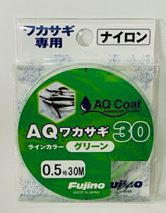 yގEFujinoEtWmE킩z[iC]AQJTM30O[30m