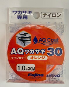 yގEFujinoEtWmE킩z[iC]AQJTM30IW30m