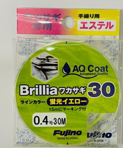 yFujinoEtWmE킩EJz[GXe]JpiCG[jBrilliaiuAjJTM30@uCG[30m