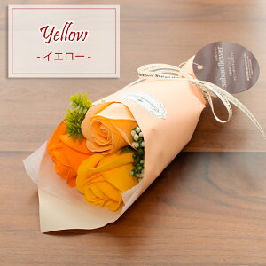 \[vt[ 3 ~ju[P w V{t[ o  ~j ԑ ʉ \   w  v[g bZ[WJ[ht FPP-831