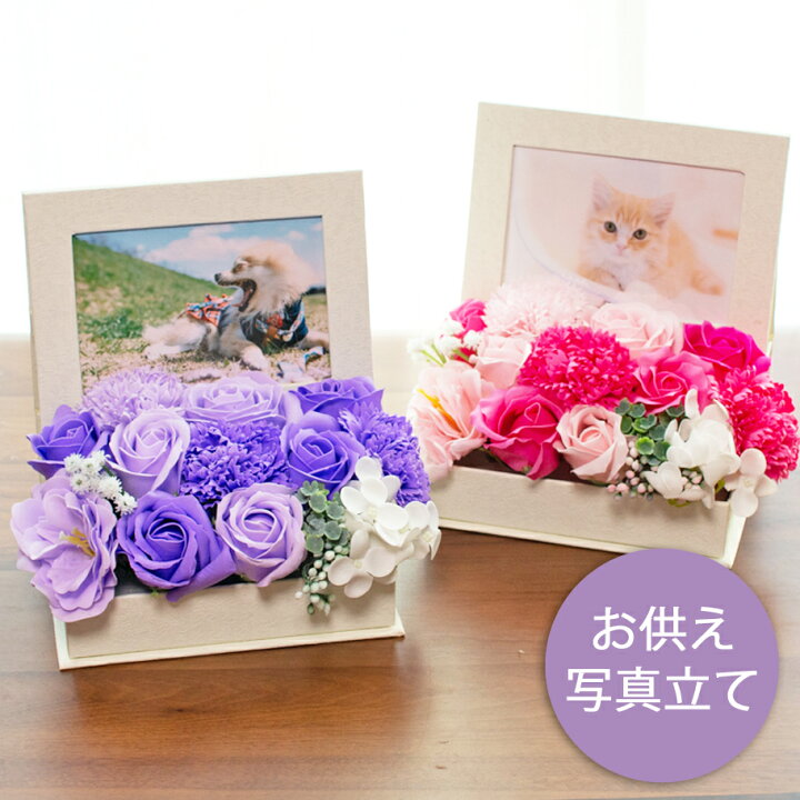楽天市場 ソープフラワー 写真立て フラワーフォトフレーム フォトフレーム アートフラワー ギフト ペット お悔み お供え シャボンフラワー 花 石鹸 バラ 薔薇 花束 誕生日 母の日 結婚祝い 退職祝い 送別会 お礼 プレゼント ギフト 石鹸素材 メッセージカード付き