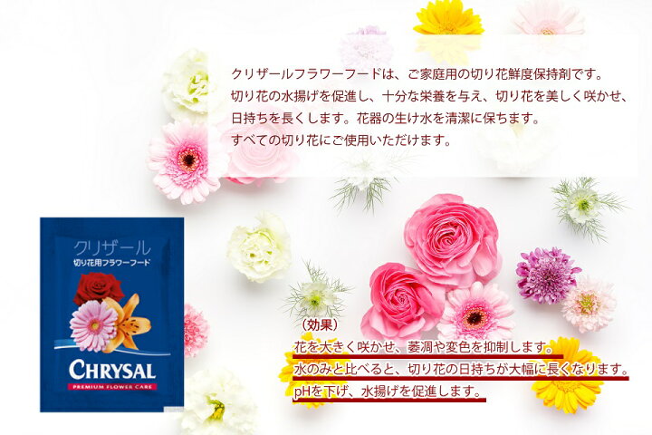 楽天市場 クリザール 切り花用 延命剤 小袋 100袋 500ml用 粉末タイプ 切り花鮮度保持剤 栄養補給 水の腐敗防止 全ての切り花に使用可能 Fujiパッケージプラザ 楽天市場店
