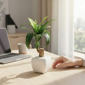 �l�H�ϗt�A�� ���� �h���Z�i�|�b�g GLA-1225 1��