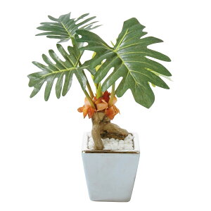 �l�H�ϗt�A�� ���� �t�F�C�N�O���[�� �t�B���f���h�����Z���[�� GLA-1174 1��