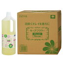 フジ日本精糖 切花延命剤 キープフラワー 2L × 6本 (ケース販売) ボトル ケース セット キープ・フラワー 薔薇 バラ …