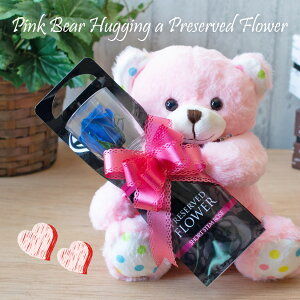 vU[uht[ sÑN}1փ[Y ʂ efBxA sN    o KN  v[g Mtg a LO  j hV̓ j bZ