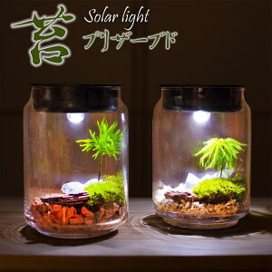 ۃv \[[Cg|bg CeA vU[uh  H vU[uht[ ͂Ȃ ͂Ȃ ۋ eE 蕨 v[g p zj Vzj Mtg