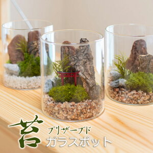 ۃv KX|bg CeA vU[uh  H vU[uht[ ͂Ȃ ͂Ȃ ۋ eE 蕨 v[g p zj Vzj Mtg hV