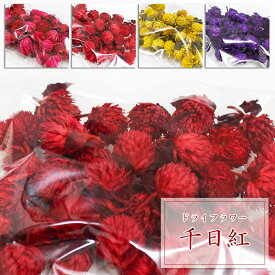 楽天市場 千日紅 ピンク ドライフラワー 花 観葉植物 花 ガーデン Diyの通販