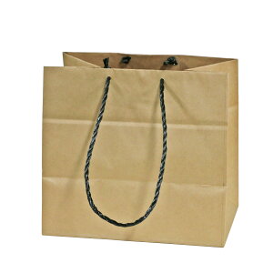   񂰑 S p (28cm×}`18cm×26cm) 肪 NtgobO MtgobO N n 䎆 (10`200)