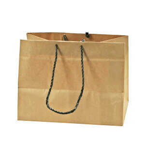   񂰑 M p (35cm×}`22cm×27cm) 肪 NtgobO MtgobO N n 䎆 (10`200)