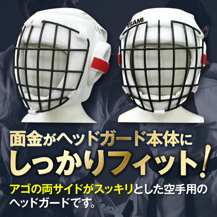 楽天市場】最大2000円OFF対象商品!☆ 【ISAMI・イサミ】 面ガード 