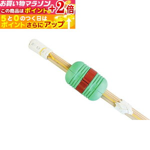 yV}\{X|CgUP g[jOpi (fUg[i[) Ԃ肱  