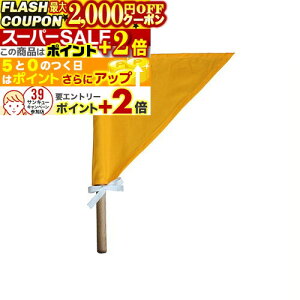 2000~OFFN[||Cg+2{ pi (p) ^C}[  SI-02 