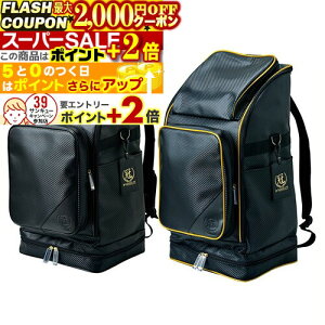 2000~OFFN[||Cg+2{  h  y KENDOobNpbNz L65cm W27cm+5cm(ʃ|Pbg) H35cm 2kg (bhAS[hAubNAlCr[AzCg)