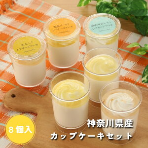 �ӂ��H�i�̔� nanoca �_�ސ쌧�Y�J�b�v�P�[�L�Z�b�g ���A�`�[�Y�P�[�L �Ó�S�[���h�P�[�L ���ʃ������P�[�L �l�Ȃ��P�[�L 8��