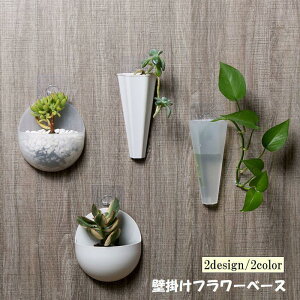 t[x[X Ǌ| ԕr Ԋ t[|bg CeAG ֑} ^ NA  ^ Vv 킢  RpNg z SHOP DAN