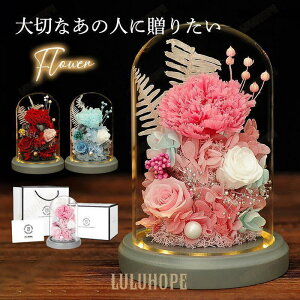    AWg zj j ސEj ԕrt ̓Q ͂Ȃ hV̓ v[g \ a SHOP DAN