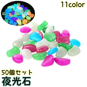   50Zbg ANAEpi p  ~   Mы  ԕr u  Jt Xg[  ꂢ  SHOP DAN