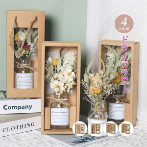 X[p[ 񂰑ܕt hCt[ ԕrt ԑ \[vt[ J[l[V Ђ܂ X^[`X v[g ԍ C SHOP DAN