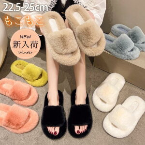 Xbp fB[X [V[Y  C t@[T_ [q[ ~[ JWA  g  wl r r  h SHOP DAN