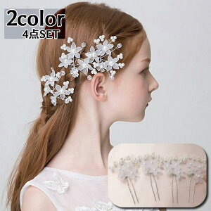 wAANZT[ 񂴂 4_Zbg o`^    ܂Ƃߔ r[Y tFCNp[  t[`[t  킢 q SHOP DAN