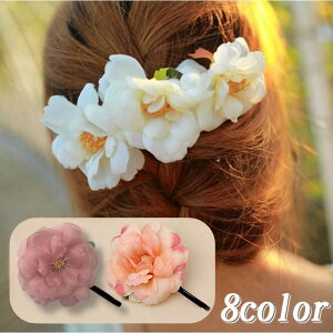 wAs wAANZT[ wbhhX RT[W t[`[t  fB[X   wAAW  p[eB[ Ă΂ SHOP DAN