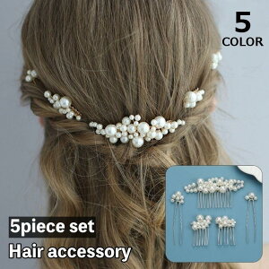 񂴂 wAs wAANZT[ 5_Zbg    p[ a m   l Ǝ tH[} p[eB U SHOP DAN