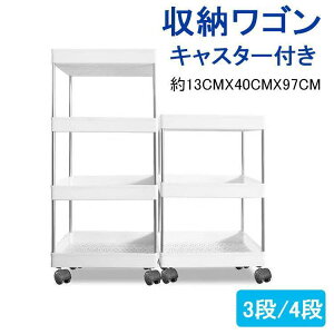 LX^[t[S! Xg[[ S 13cm    X  RpNg Lb`Ԏ[ ʏ [ Lb` SHOP DAN
