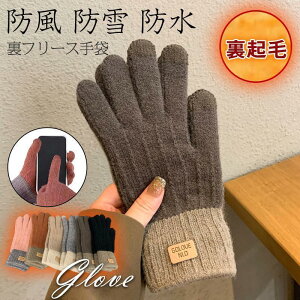  O[u fB[X N {A X}zΉ Ԃ hO[u  ~ X|[c nCLO ]ԗp ނ g ʋ ʊw SHOP DAN