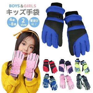  LbY q Xm[O[u qǂ XL[O[u XL[ j̎q ̎q w V 5{w  ~ g h h΍ WjA ~ h SHOP DAN