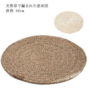  zc V[gNbV ۍzc ԂƂ a  ` ی^ Eh zc tANbV  VRf  i` z SHOP DAN