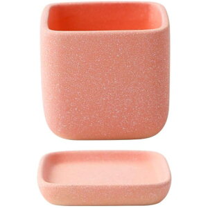 퐻 Aؔ v^[ k Vv A rEt CeA ` ^Cv8.    ʋC 9.5cm u SHOP DAN