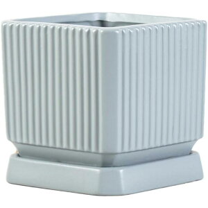 A Aؔ v^[ Z~bN k Vv c K[f  ze gCt ړ]j h ʋC M  SHOP DAN