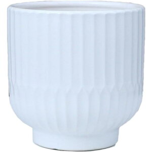 eRb^ ~͔ Aؔ  ی` k rEt vX`bN̎Mt ʋC XgCv   _  SHOP DAN