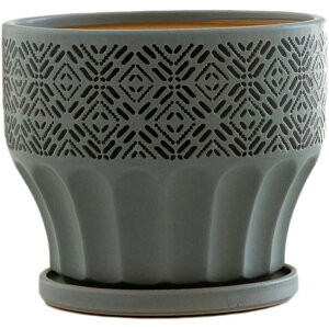 A v^[ Aؔ 픫 k Z~bN ɐ CeA M gČ^ z[CeA ی` ~͔ SHOP DAN