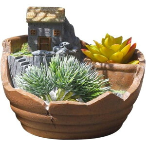 vVIȃW[V[ȐAؔ - LEDCgCq̓IȃX^C̑Av^[ fUC A t[ X^C SHOP DAN