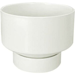 Jo[  Vv v^[ k ꌊ ی` sN Mt  e[u  ^   G Aؔ SHOP DAN