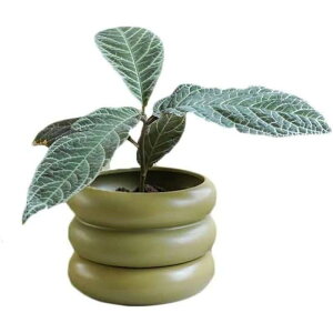 T{e|bg 픫 A A AAؔ k T{e fB Vv K[f|bg ʋC CeA ze SHOP DAN