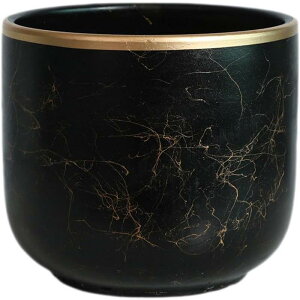 Jo[  Vv ی` ϗtA ꌊ vX`bNgCt  e[u  v^[ a K[fjO SHOP DAN