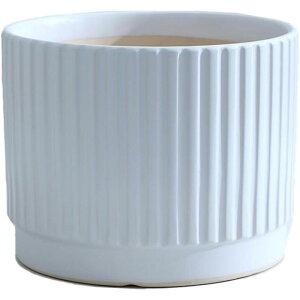 T{e A Z~bN k  rEt XL I ^Cv1 _  vX`bN̎Mt A SHOP DAN