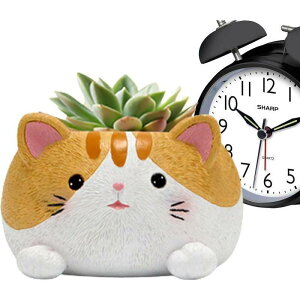 Lv^[ - 킢̓̃fUC̎Aؔ,Lv^[|bg z[fR[V Ő̒̑p SHOP DAN