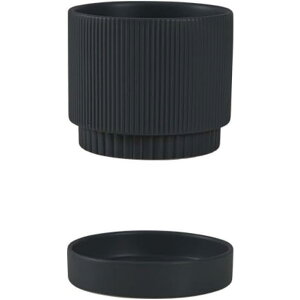 퐻 A Vv O[ k Aؔ ی` c  Op v^[ A K[fjOpi M Mt SHOP DAN