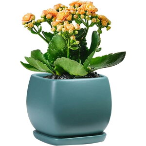 A v^[ Z~bN A ꌊt gCt oRj[ ` CeA  k fXNgbv~ ƒ SHOP DAN